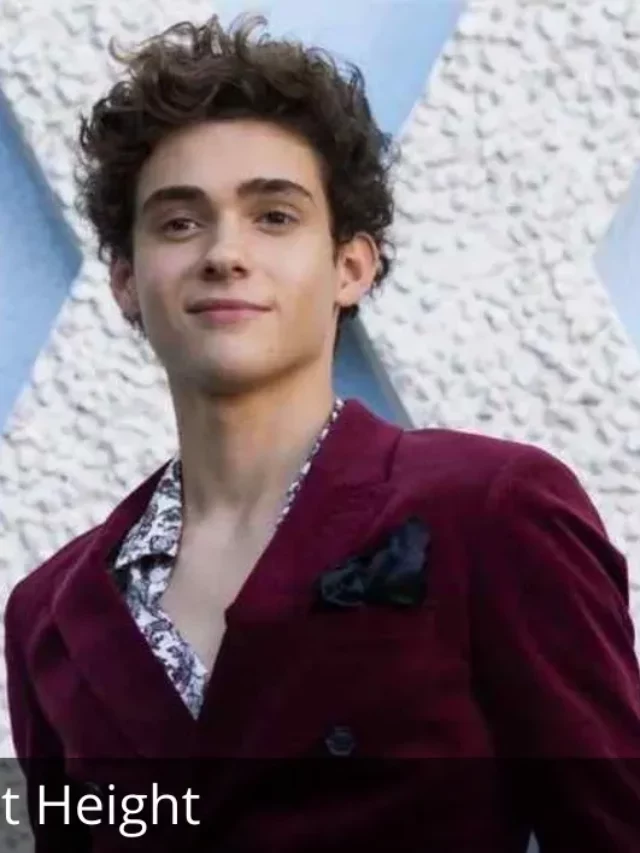 Joshua Bassett Height